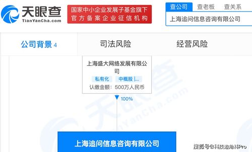 盛大網(wǎng)絡(luò)再落子 成立上海追問(wèn)信息咨詢公司，注冊(cè)資本500萬(wàn)元深耕信息咨詢服務(wù)